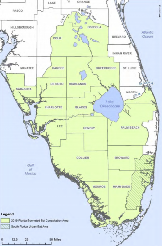 Florida Bonneted Bat Surveyes - Wetland Consultants